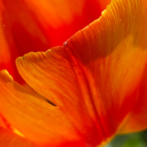 Crélynx séminaires