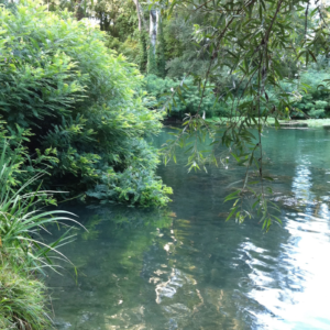 Crélynx séminaires sagesses d'été