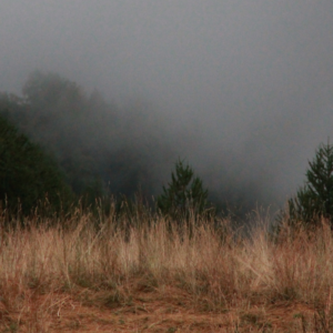 Crélynx séminaires