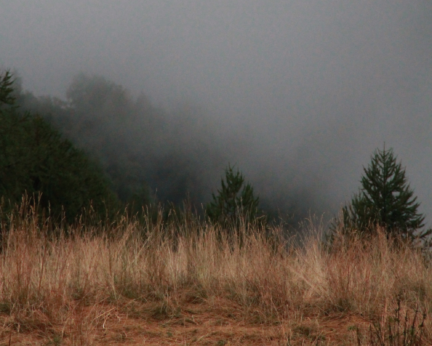 Crélynx séminaires