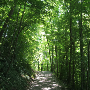 Crélynx séminaires