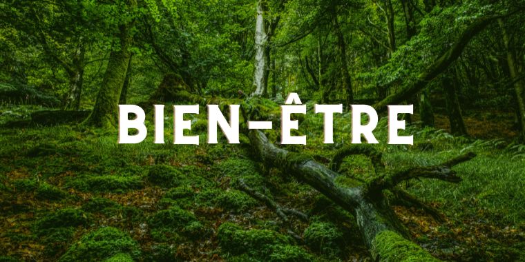 Bien-être / Crélynx