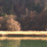 Crélynx séminaires