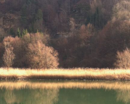 Crélynx séminaires