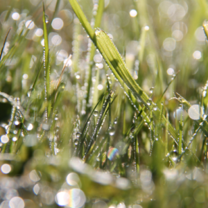 Crélynx séminaires