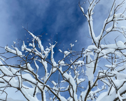 Crélynx séminaires sagesses d'hiver