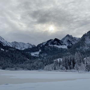 Crélynx séminaires