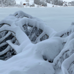 Crélynx séminaires