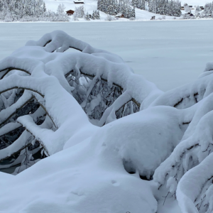 Crélynx séminaires
