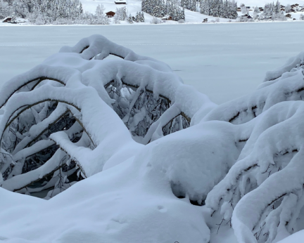 Crélynx séminaires