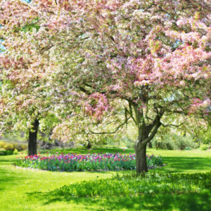 Crélynx séminaires