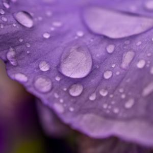 Crélynx séminaires