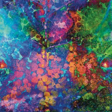 Séminare Crélynx Naturesource