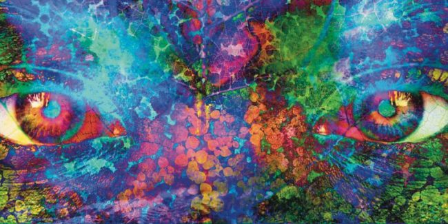 Séminare Crélynx Naturesource